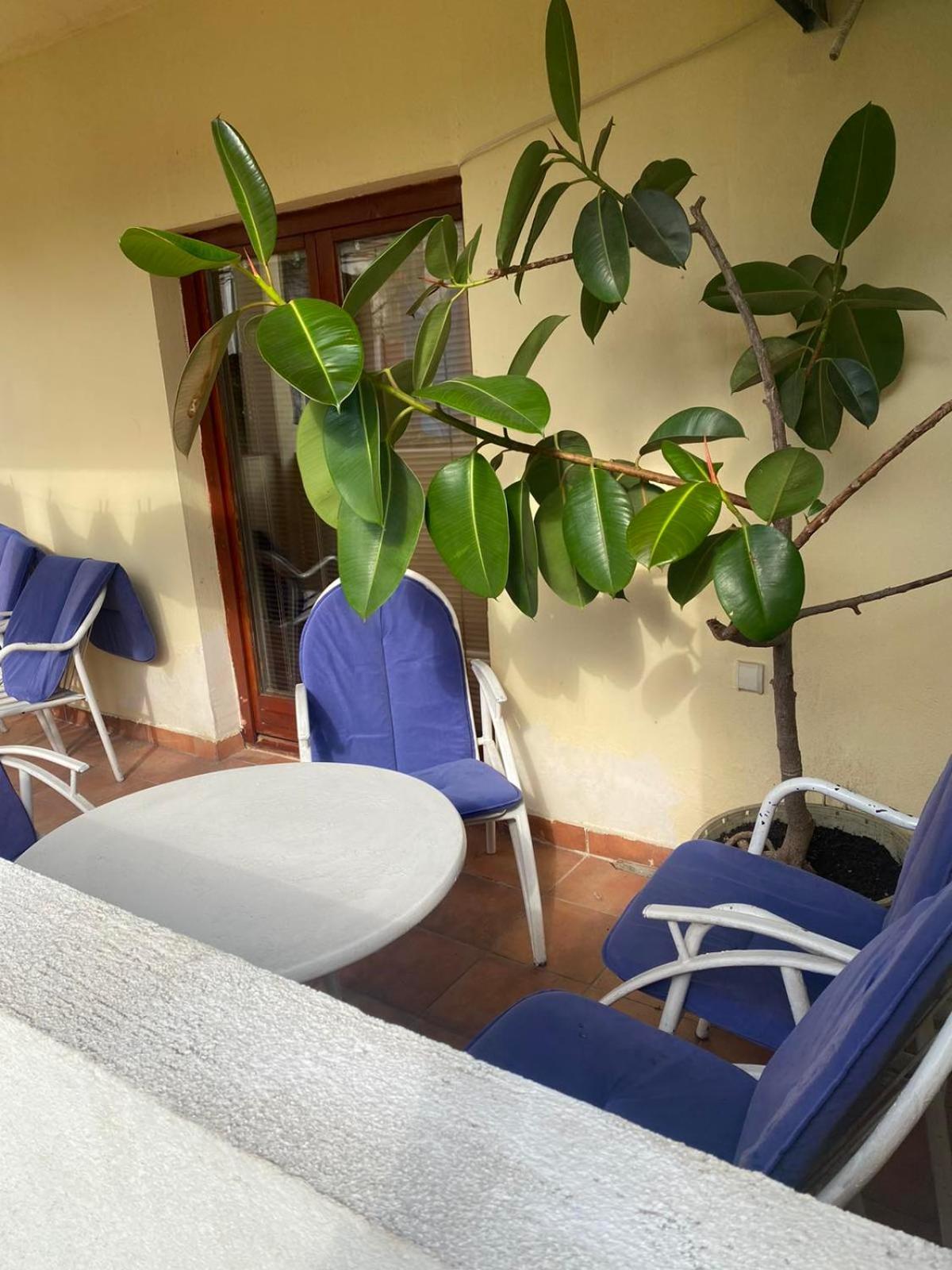 Apartmani Zelenika Herceg Novi Cameră foto