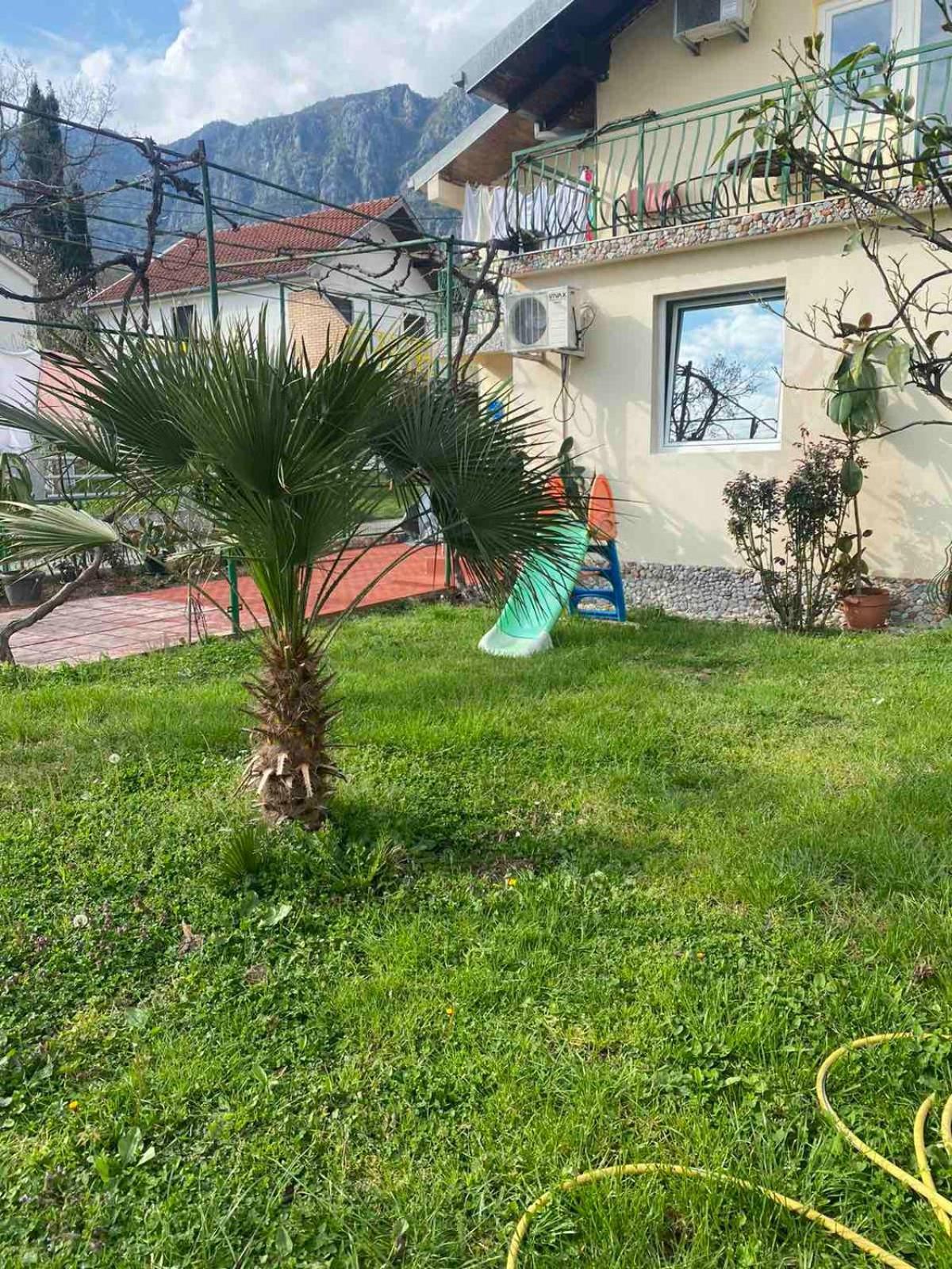 Apartmani Zelenika Herceg Novi Cameră foto