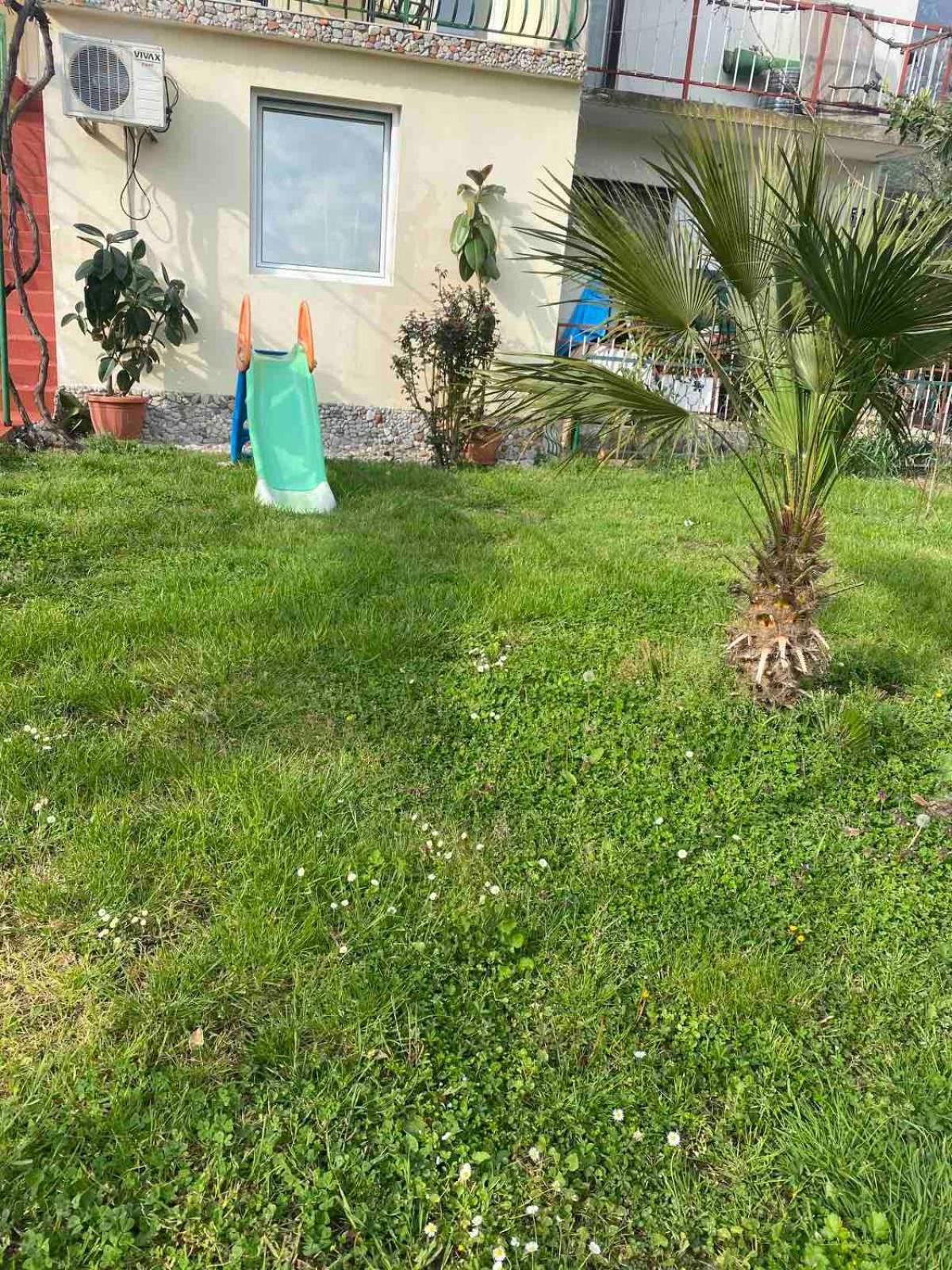 Apartmani Zelenika Herceg Novi Cameră foto