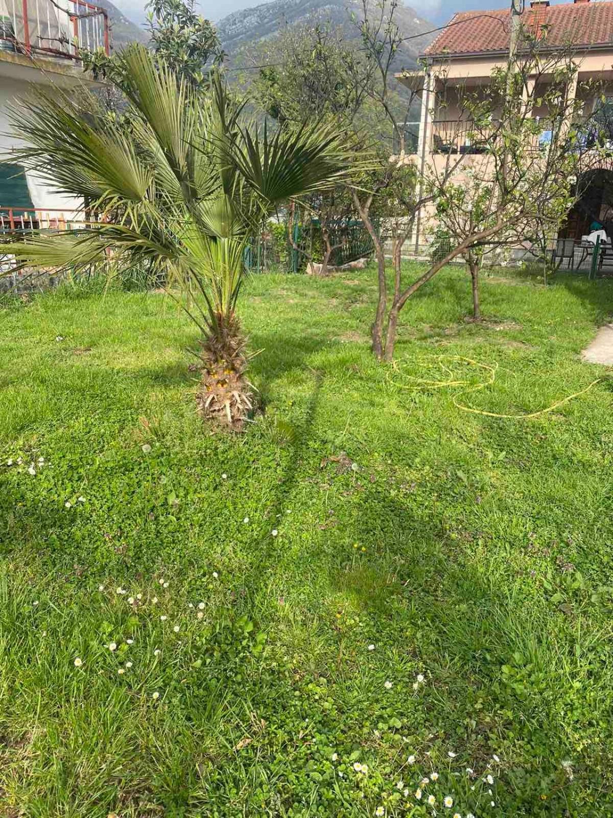 Apartmani Zelenika Herceg Novi Cameră foto